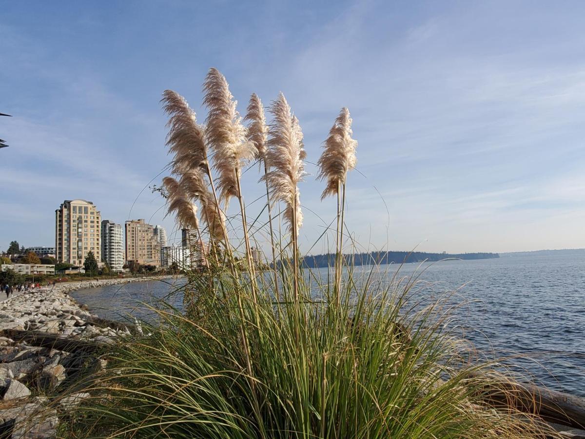Your Alternative To A Five Star Hotel - Premium Location Vancouver Exterior foto